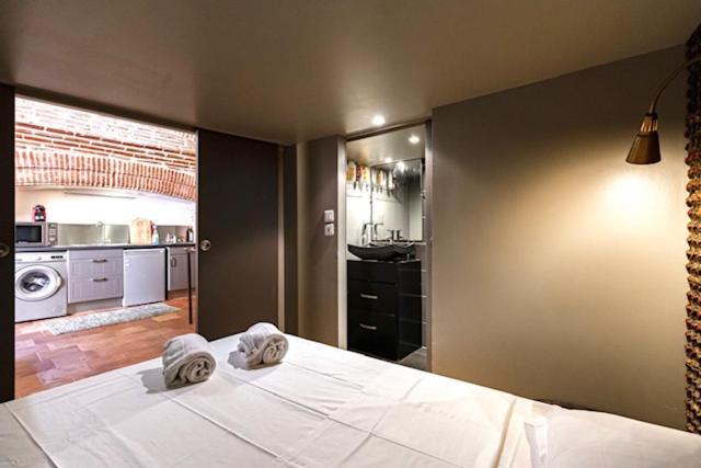 Duplex Climatise Dans Un Monument Historique Apartment Toulouse Exterior foto